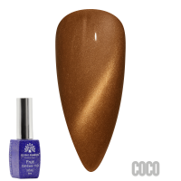 Fruit Cat-Eyes 11D Gel Polish | Magnetic Nail Polish | Coco