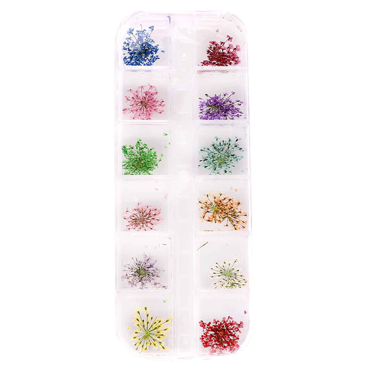Nail decor, dried flowers, in a container (12 colors) - 1