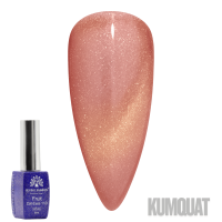 Fruit Cat-Eyes 11D Gel Polish | Magnetic Nail Polish | Kumquat