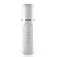 Global Fashion Ultrasonic Skin Cleaner – Deep Cleansing | C-103