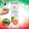 Global Fashion Cuticle Oil – Natural Blend of Olive, Coconut, Lavender, Rosemary & Jojoba Oils
