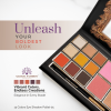 Global Fashion eyeshadow palette close up high pigment texture ظلال عيون لقطة مقربة
