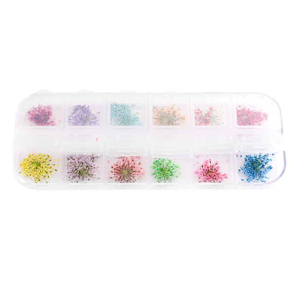 Nail decor, dried flowers, in a container (12 colors) - 1