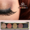 Global Fashion eyeshadow palette close up high pigment texture ظلال عيون لقطة مقربة
